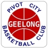 Pivot City (14GD1 S19) Logo