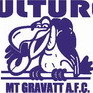 Mt Gravatt Women's Logo