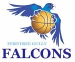 FTG Falcons G12.2