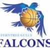 FTG Falcons G12.1 Logo