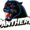 Benalla Panthers Logo