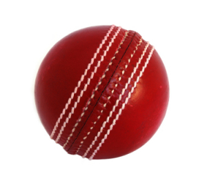 Referal system - it's just not cricket Referal system - it's just not cricket