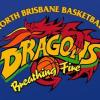 North Brisbane Dragons Gold Logo