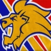 Seymour Junior Football Club - U11 Logo