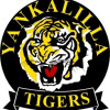 Yankalilla U13 Girls Logo