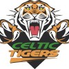CELTIC TIGERS YELLOW Logo