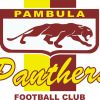 Pambula Seniors 2013 Logo