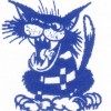 Casterton Sandford Football Club Netball Logo