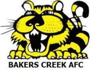 Bakers Creek Tigers - Division 1 (2017)