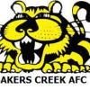 Bakers Creek Tigers Logo