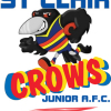 St Clair Crows U13 Logo
