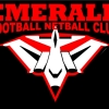 Emerald Logo