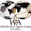We are WSA