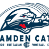 CAMDEN Logo