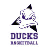 Ducks Grey Logo