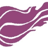 MT EVELYN Meteors 10 Logo