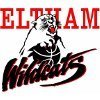 Eltham Wildcats Logo