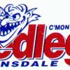 Bairnsdale Under 12s Logo