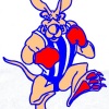 Newstead Football and Netball Club Logo