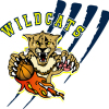 WILDCATS BLUE Logo