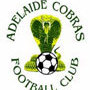 Adelaide Cobras White Logo