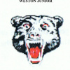 Weston JFC 13/01-2023 Logo