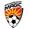Broadmeadow Magic FC Yellow Logo