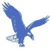 Eaglehawk Logo