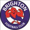 Brighton Blue U9 Logo