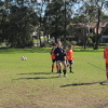 NWS Koalas Coaching Clinic July 2011