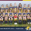 Youth Girls Team photo - 2011