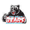 Try Boys Bears ARM W13 Logo