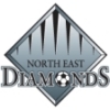 North-East Diamonds Logo