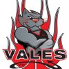 Vales (M)Wildcats Logo