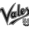 Vales (W) Vixens Logo