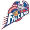 Newcastle Falcons Logo