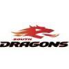 South Dragons Logo