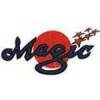 South East Melbourne Magic Logo