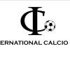 International Calcio Div 1 Logo
