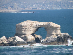 Feliz Aniversario Antofagasta Sokol Feliz Aniversario Antofagasta Sokol