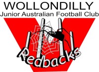 Wollondilly Redbacks U12 Div 2
