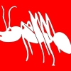 Preston Bullants W Logo