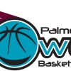 Palmerston Panthers* Logo