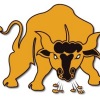 Glenmore Under 15's Logo