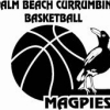 Palm Beach Black Logo