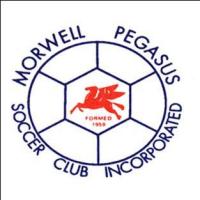 Morewell Pegasus SC