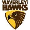 Waverley Park Under 9 Gold Logo