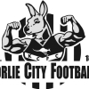 Kalgoorlie City Football Club Logo