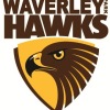 Waverley Park Under 14 Logo