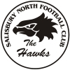 Salisbury North FC Logo